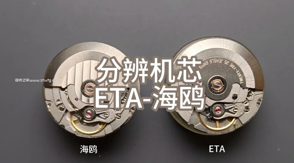 海鷗2824機芯結構圖