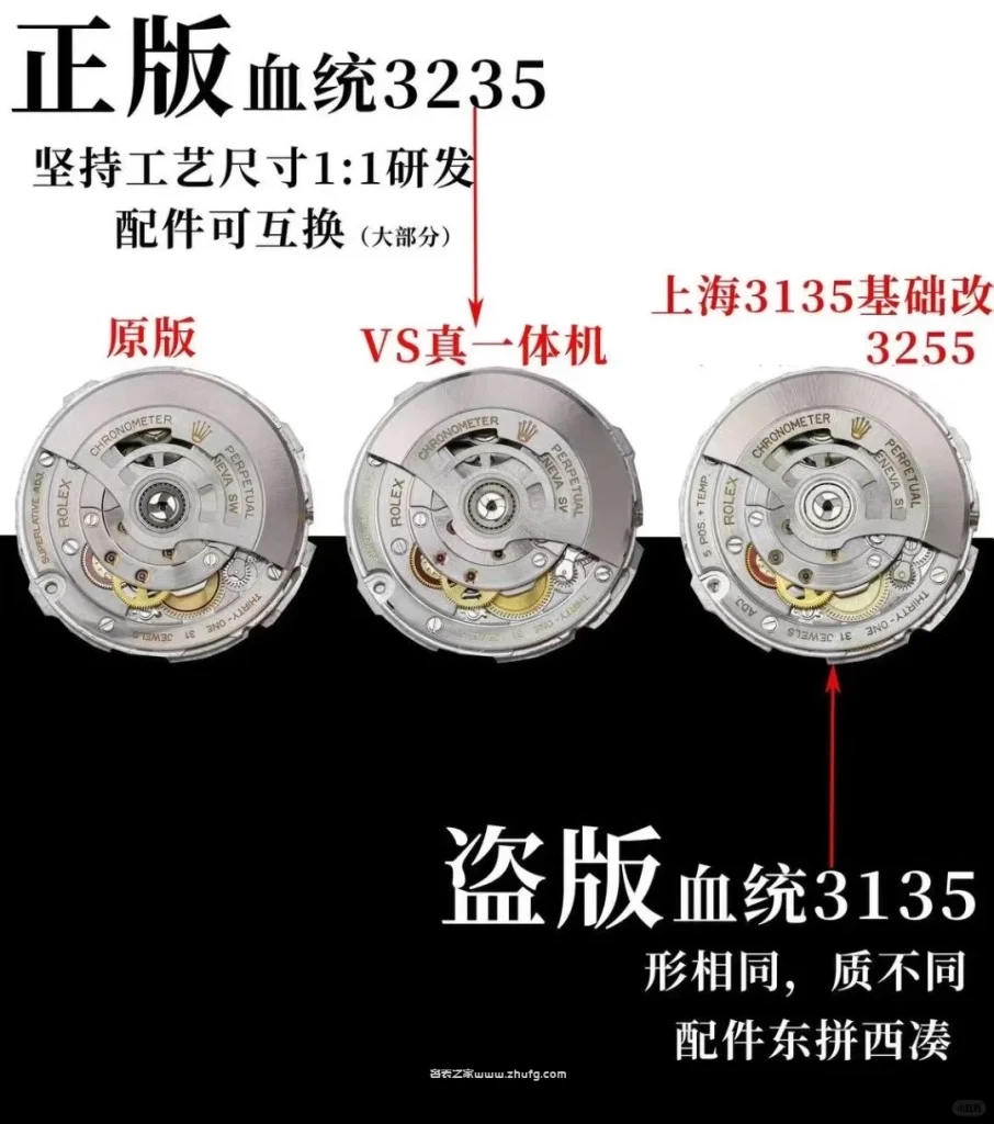 VS廠機芯側面圖