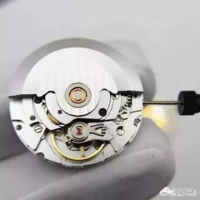 杭州2836與海鷗2836機芯對比