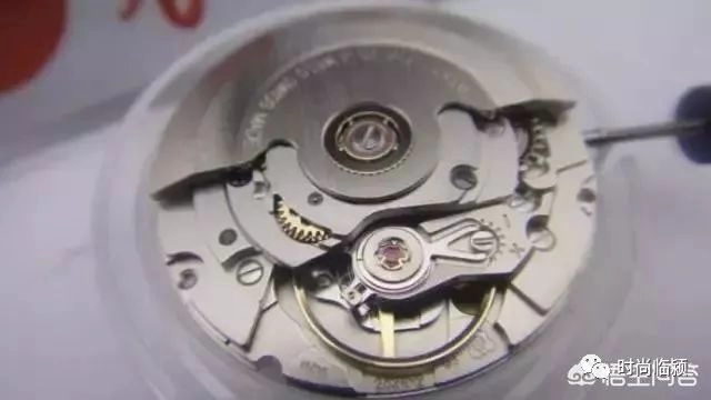 瑞士機芯